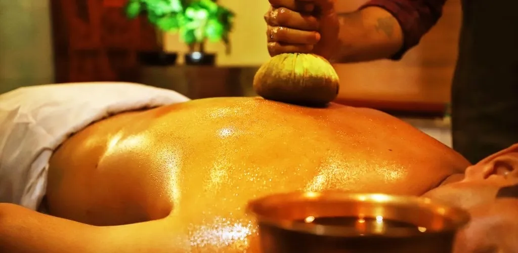 Formations théorico-pratiques en Āyurveda  