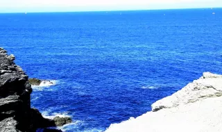 GRAND NETTOYAGE INTESTINAL 2026